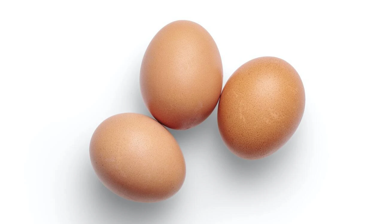 photo-1587486913049-53fc88980cfc?ixlib=rb-1.2.1&amp;ixid=MnwxMjA3fDB8MHxwaG90by1wYWdlfHx8fGVufDB8fHx8&amp;auto=format&amp;fit=crop&amp;w=1000&amp;q=80