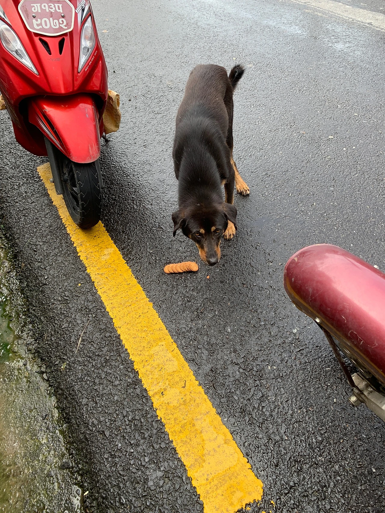 KakaoTalk_20210721_122746774.jpg?type=w1600