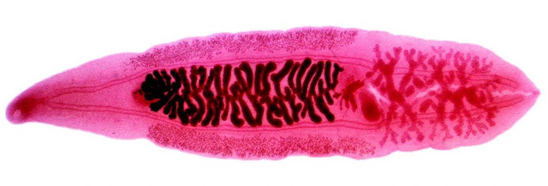 AD_4nXeE2UQlxZDKJlMiIbFv0UCwJIzzWj_1Z7G7iRcwvTJszmgGRz8c7v2QXkk77iHbTMhBjlCHs4WijFO-fqAV1HF46kVfjCtjoWZvoqQus3A0mROIhiIIsNBHQjj8bU2PNAm-OqZMYjFtDFUeE0rFJU-1mFlF?key=OR0wnMFsmTvilESv3ulAcw