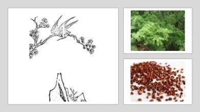 f_hi5Ud018svc1sgqcop0sdddx_q49c4t.jpg?type=w520