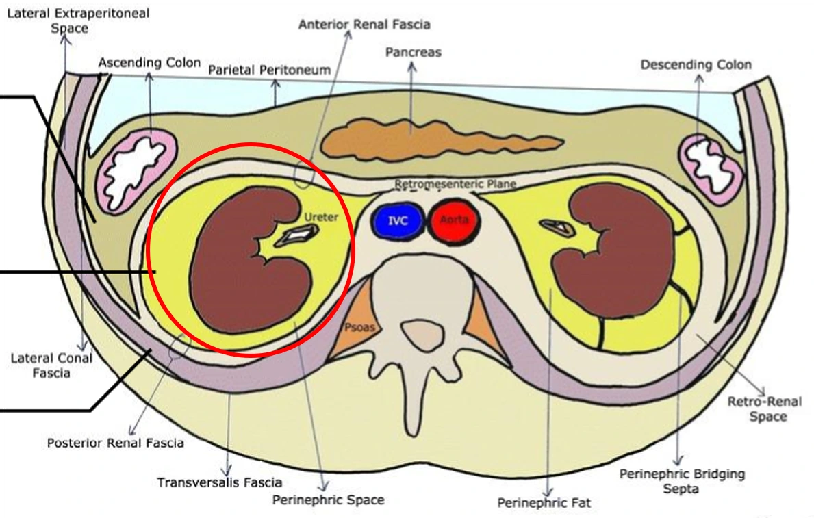 7fa6e2ef20b1e7b8d5fc3778eacf3c47.png?w=800&amp;q=85