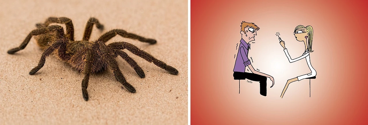 0_6j3Ud018svc1ipsvl9fwvxx0_q49c4t.png?type=e1920_std