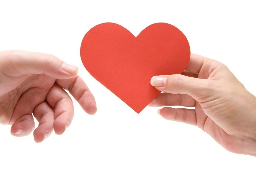 4_ghaUd018svcq9pub34qvie0_q49c4t.jpg?type=e1920_std