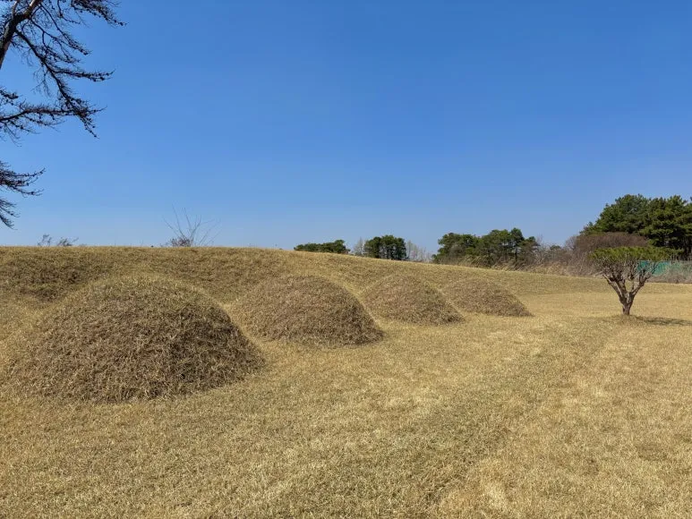 IMG_1276.jpg?type=w773