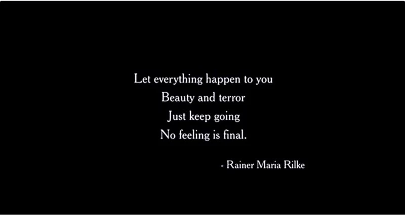 47942D8E-79D1-40D5-B62C-32049A140E7F.jpeg?type=w800