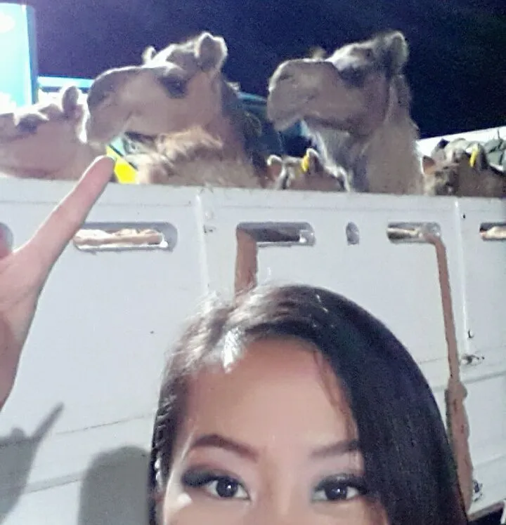 gas station 2017.jpeg