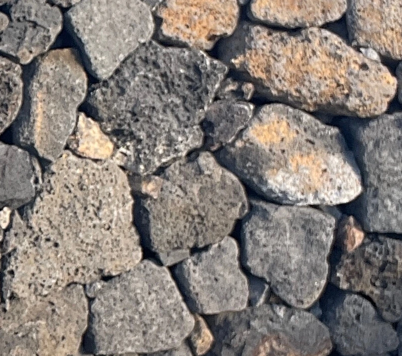 SE-5bf54090-cd4c-4b99-bcd2-f8df54adfabc.jpg?type=w1