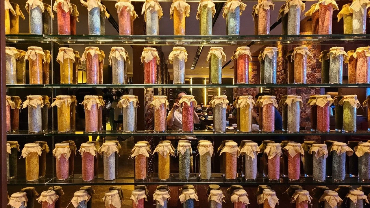 1MOqLI8ylHWoWRreQ9n0nO6o9N4.jfif