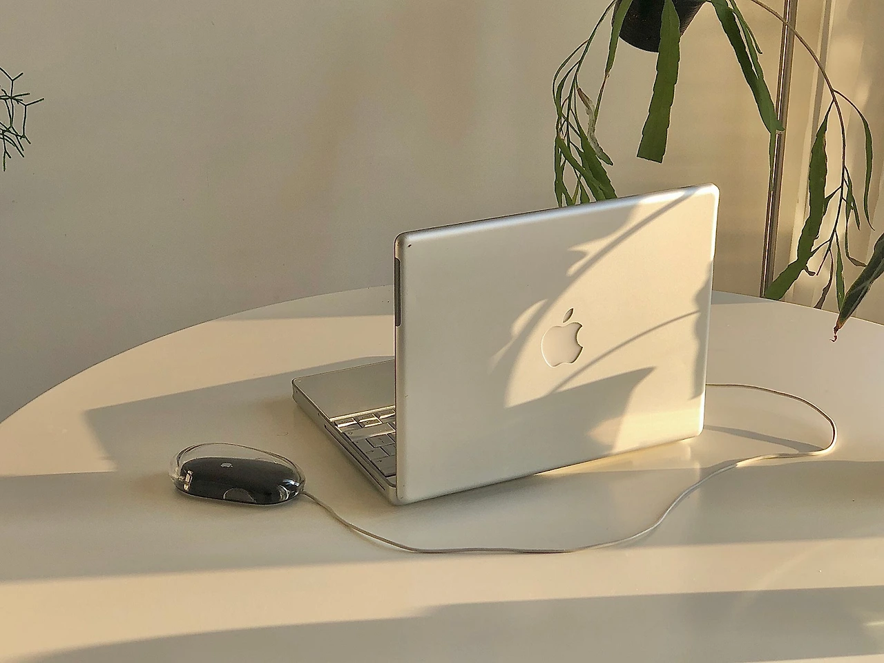 Mh2q-PaM7to4zjimn93AMBXmFq4sIUHGfOyBDlcHK42o3gUc3SGv46Y2TFWBIDG4v2nRW_rAXpKmrc-pN8xQ_Nbxr8vSnkJm8JWLeXi2zTNEl7AVuyoTHqSQtmY1gQhPKy5X0isj