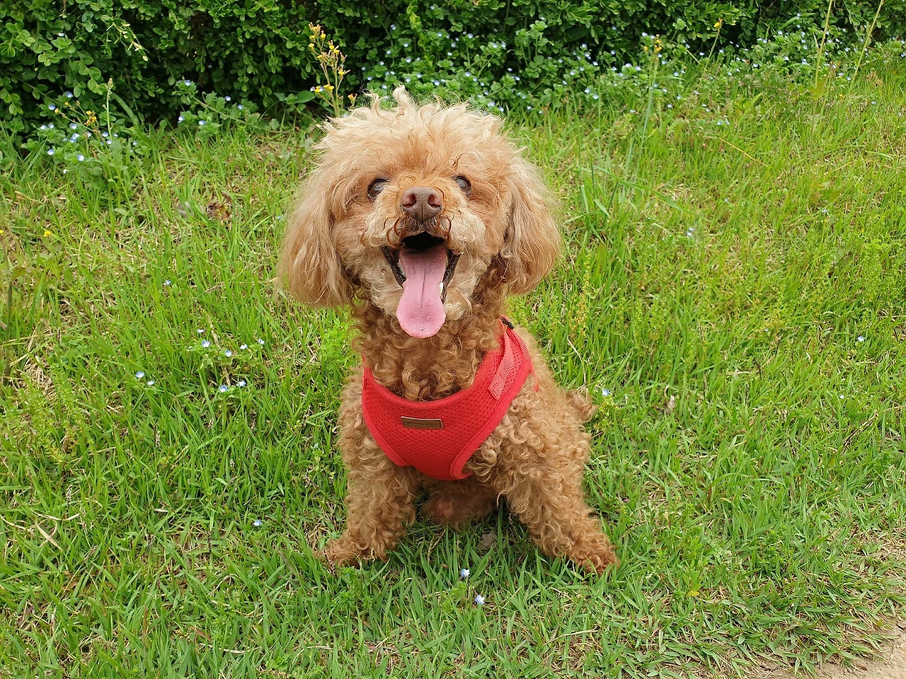 202106 흐지부지hzbz_우주인터뷰_얼렁_Sub Photo3.JPG