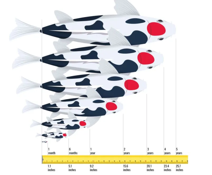 %EC%BA%A1%EC%B2%983.JPG?type=w1