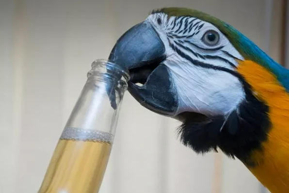 %EC%8A%A4%ED%81%AC%EB%A6%B0%EC%83%B7_2023-12-15_122743.png?type=w1