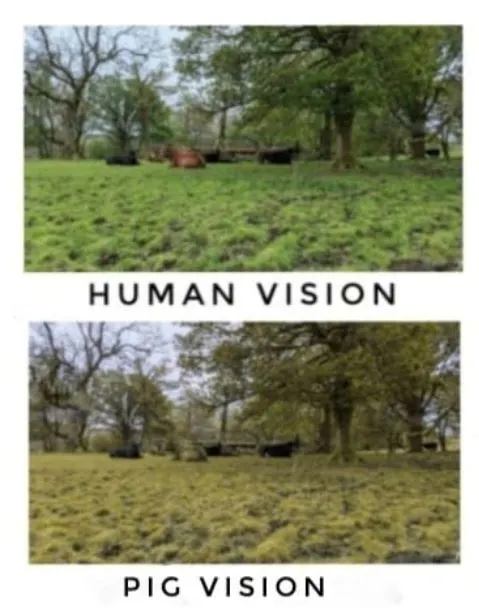 %EC%BA%A1%EC%B2%988.JPG?type=w1