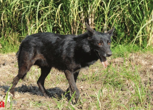 %EC%8A%A4%ED%81%AC%EB%A6%B0%EC%83%B7_2023-12-23_094116.png?type=w1