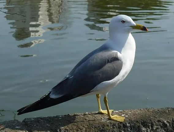 %EC%8A%A4%ED%81%AC%EB%A6%B0%EC%83%B7_2023-12-22_190957.png?type=w1