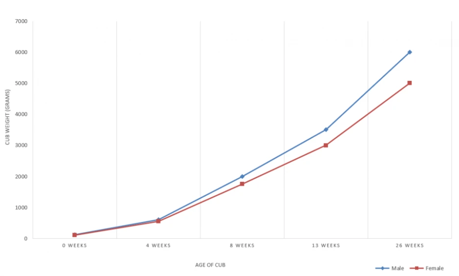 fox_cub_growth_chart.png?type=w1