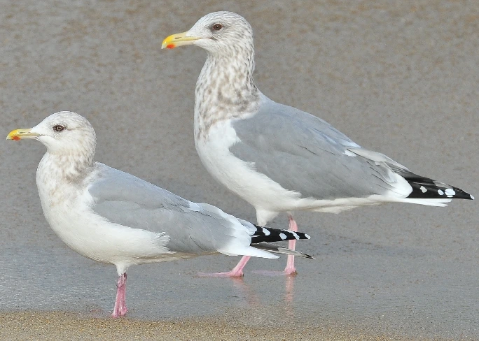 20180112103936403.jpg?type=w1