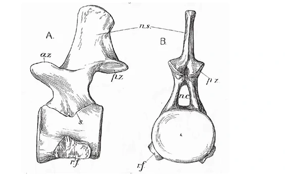 %EC%8A%A4%ED%81%AC%EB%A6%B0%EC%83%B7_2024-05-04_171553.png?type=w1