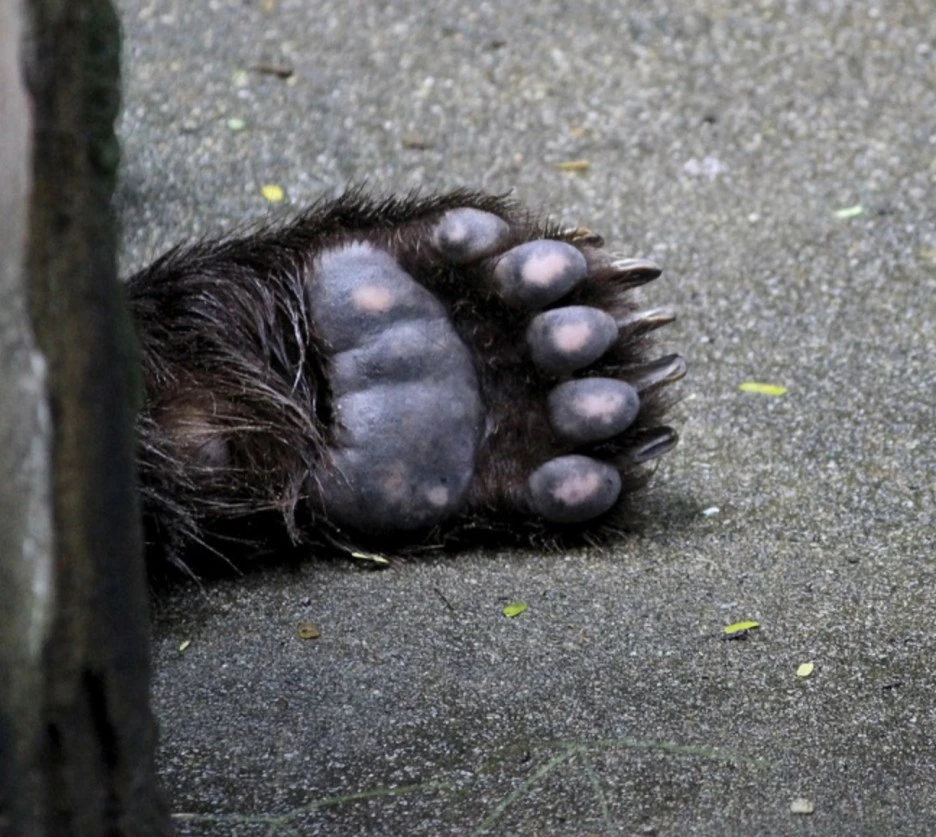 KakaoTalk_20211124_165025730_01.jpg?type=w1