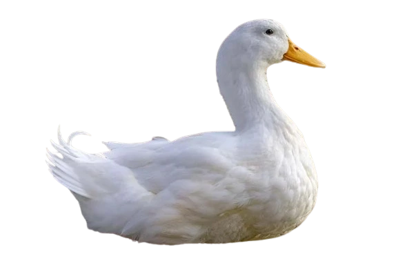 %EC%8A%A4%ED%81%AC%EB%A6%B0%EC%83%B7_2024-05-09_112044-removebg-preview.png?type=w1