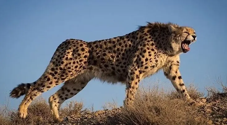 %EC%BA%A1%EC%B2%98.JPG?type=w773