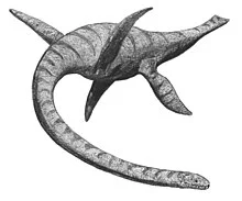 Plesiosaurus2.jpg?type=w1