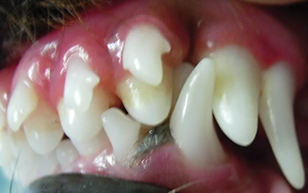 %ED%99%94%EB%A9%B4_%EC%BA%A1%EC%B2%98_2024-06-03_165716.png?type=w1