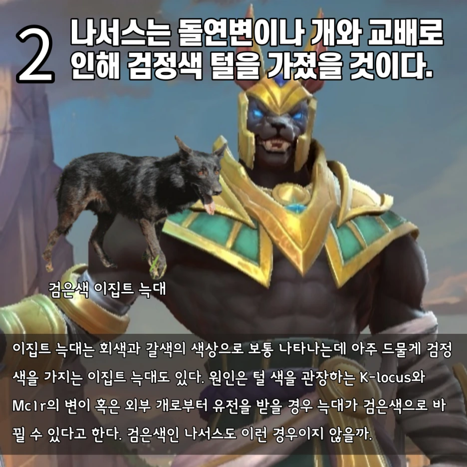 %EC%A0%9C%EB%AA%A9%EC%9D%84-%EC%9E%85%EB%A0%A5%ED%95%B4%EC%A3%BC%EC%84%B8%EC%9A%94__%EB%B3%B5%EC%82%AC%EB%B3%B8_%EB%B3%B5%EC%82%AC%EB%B3%B8_%EB%B3%B5%EC%82%AC%EB%B3%B8_%EB%B3%B5%EC%82%AC%EB%B3%B8-003.png?type=w1