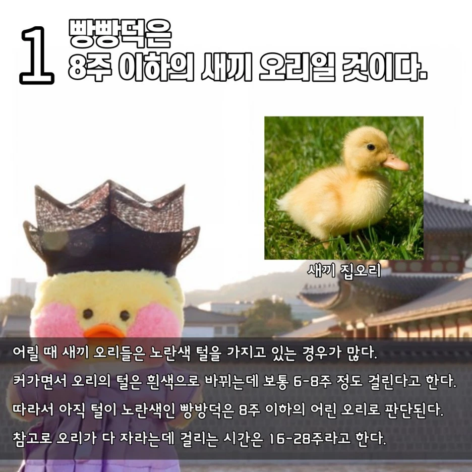 %EC%A0%9C%EB%AA%A9%EC%9D%84-%EC%9E%85%EB%A0%A5%ED%95%B4%EC%A3%BC%EC%84%B8%EC%9A%94__%EB%B3%B5%EC%82%AC%EB%B3%B8_%EB%B3%B5%EC%82%AC%EB%B3%B8_%EB%B3%B5%EC%82%AC%EB%B3%B8_%EB%B3%B5%EC%82%AC%EB%B3%B8-002.jpg?type=w1