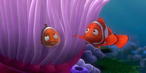 %EB%8B%88%EB%AA%A8%EB%A5%BC%EC%B0%BE%EC%95%84%EC%84%9C_001.gif?type=w773