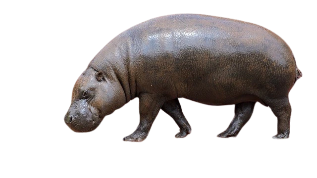 %EB%8B%A4%EC%9A%B4%EB%A1%9C%EB%93%9C.png?type=w1