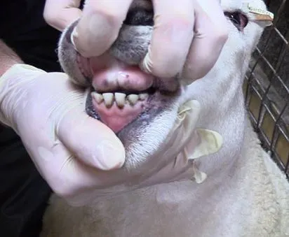 %EC%BA%A1%EC%B2%983.JPG?type=w1