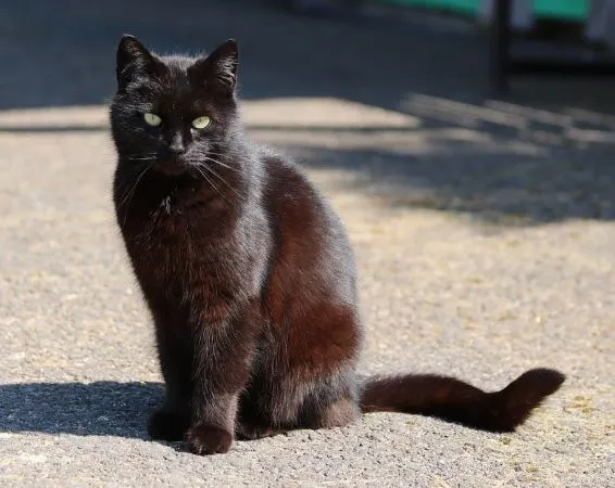 %EC%BA%A1%EC%B2%9818.JPG?type=w1