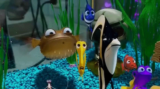 AnnualHopefulCrayfish-size_restricted.gif?type=w773