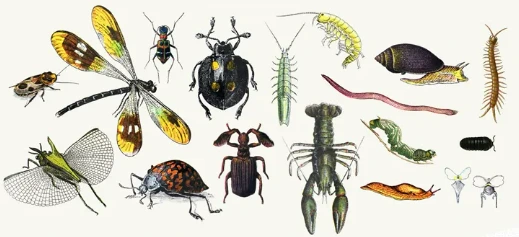 %EC%8A%A4%ED%81%AC%EB%A6%B0%EC%83%B7_2023-11-16_102813.png?type=w1