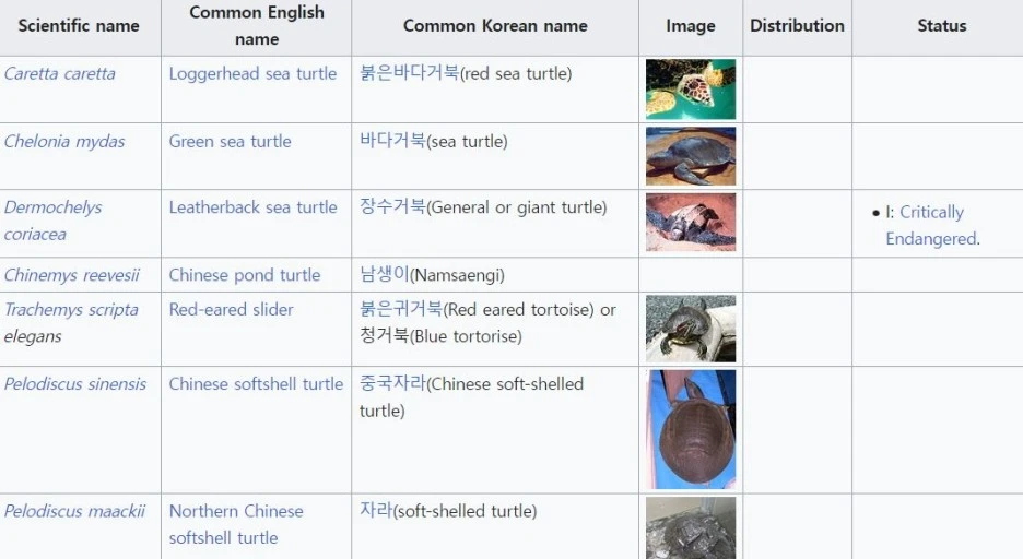 %EC%BA%A1%EC%B2%98.JPG?type=w1