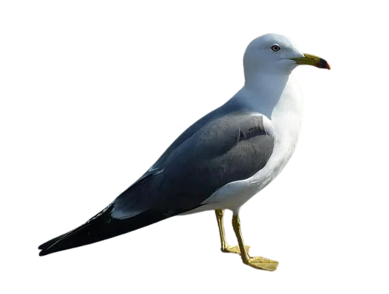 %EB%8B%A4%EC%9A%B4%EB%A1%9C%EB%93%9C.png?type=w1