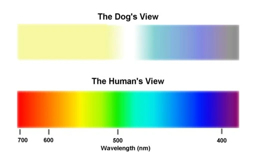 %EC%8A%A4%ED%81%AC%EB%A6%B0%EC%83%B7_2023-11-24_141233.png?type=w1