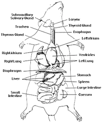 %EB%8B%A4%EC%9A%B4%EB%A1%9C%EB%93%9C.png?type=w1