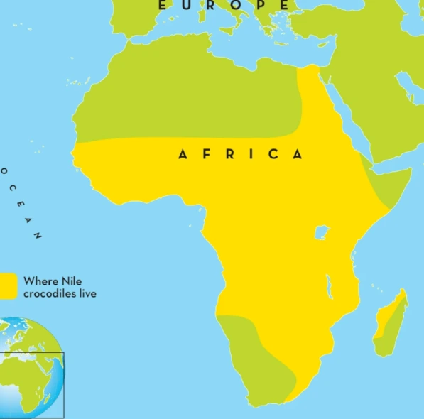 %EC%8A%A4%ED%81%AC%EB%A6%B0%EC%83%B7_2023-12-08_170342.png?type=w1