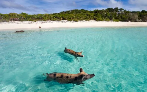 %EC%BA%A1%EC%B2%9815.JPG?type=w1