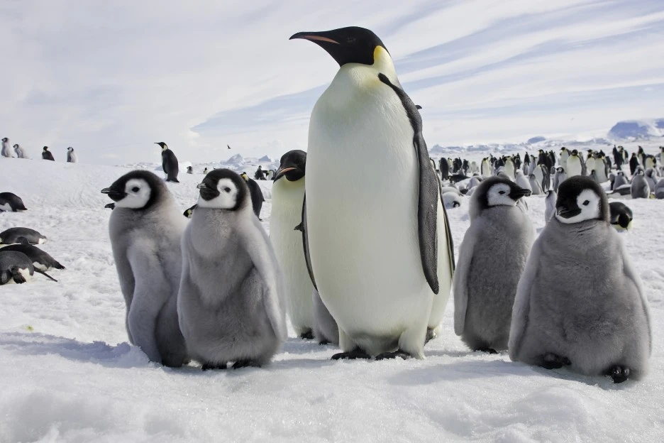 GettyImages-1286489699.jpg?type=w1