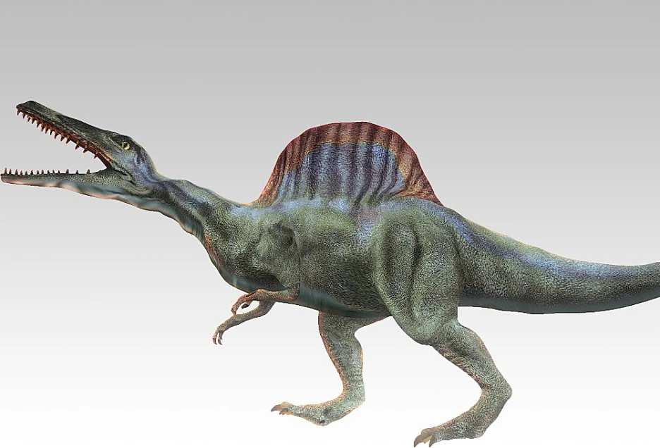 Img061_Small_006.jpg?type=w1