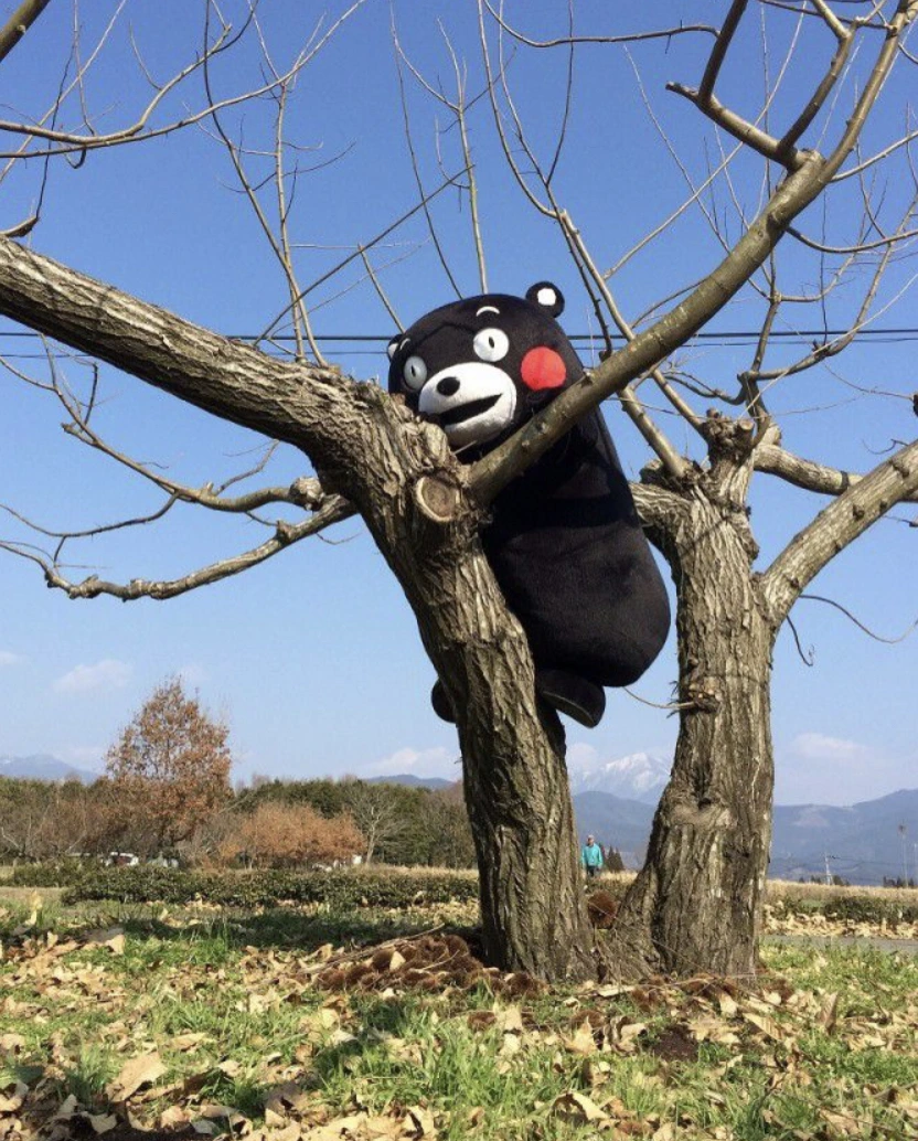 KakaoTalk_20211006_213709981.jpg?type=w1