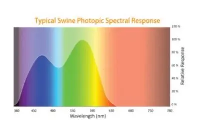 %EC%BA%A1%EC%B2%985.JPG?type=w1