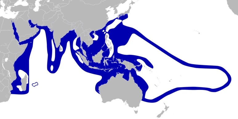 Amphiprioninae_distribution_map-blank.svg.png?type=w773