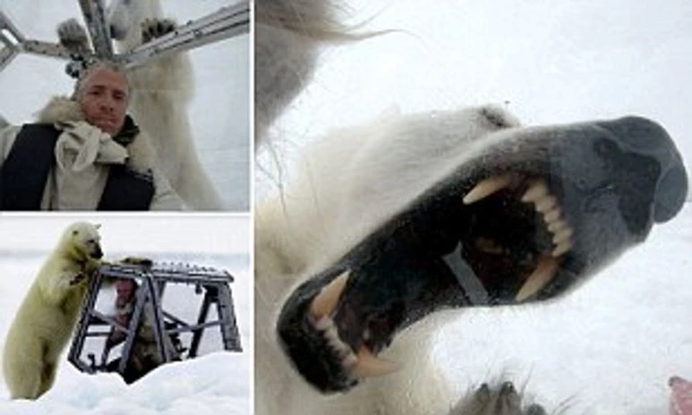 article-2257088-16C00CAD000005DC-558_308x185.jpg?type=w773