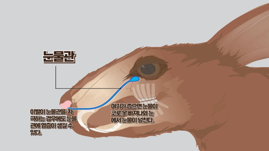 %EC%A0%9C%EB%AA%A9%EC%9D%84-%EC%9E%85%EB%A0%A5%ED%95%B4%EC%A3%BC%EC%84%B8%EC%9A%94_-002_(4).png?type=w1