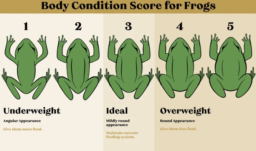 %EC%8A%A4%ED%81%AC%EB%A6%B0%EC%83%B7_2023-11-16_102849.png?type=w1