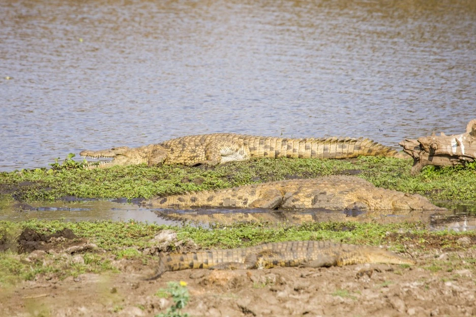 GettyImages-840508296.jpg?type=w1